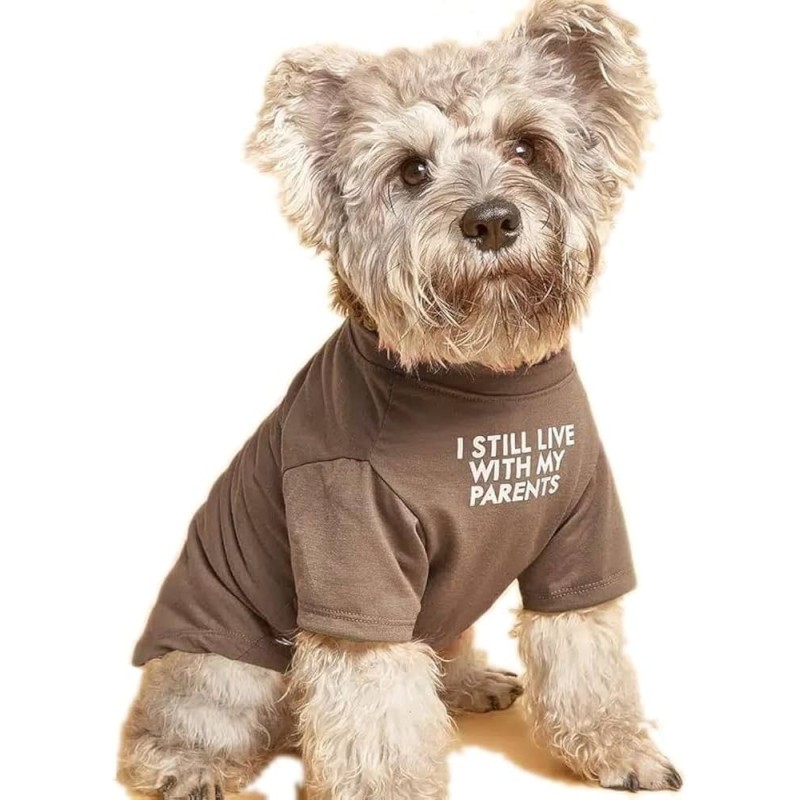 T-shirt dla psa Summer Dog | Łapka w stylu