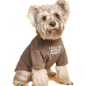 T-shirt dla psa Summer Dog | Łapka w stylu