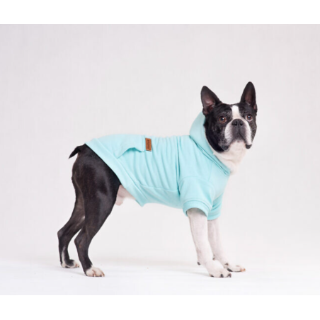 Błękitna bluza dla psa Blue Sky Paw | Łapka w stylu