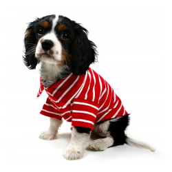 Czerwono-biała koszulka polo dla psa Stripe Polo Paw | Łapka w stylu