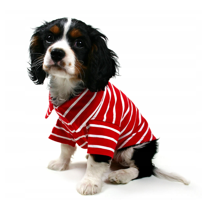 Czerwono-biała koszulka polo dla psa Stripe Polo Paw | Łapka w stylu