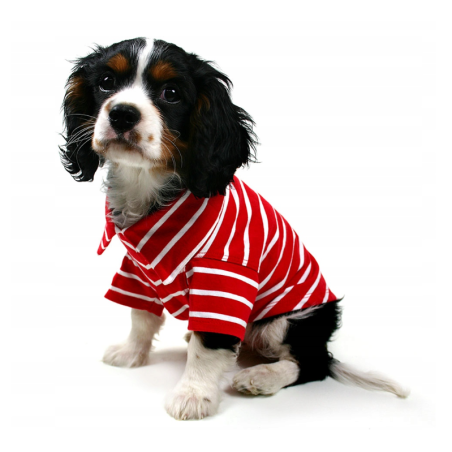Czerwono-biała koszulka polo dla psa Stripe Polo Paw | Łapka w stylu
