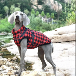 Czerwona kurtka w kratę dla psa Red Check Paw Coat | Łapka w stylu