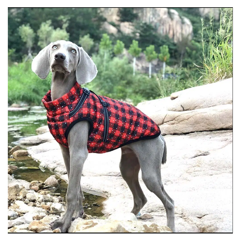 Czerwona kurtka w kratę dla psa Red Check Paw Coat | Łapka w stylu