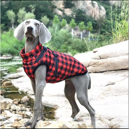 Czerwona kurtka w kratę dla psa Red Check Paw Coat | Łapka w stylu